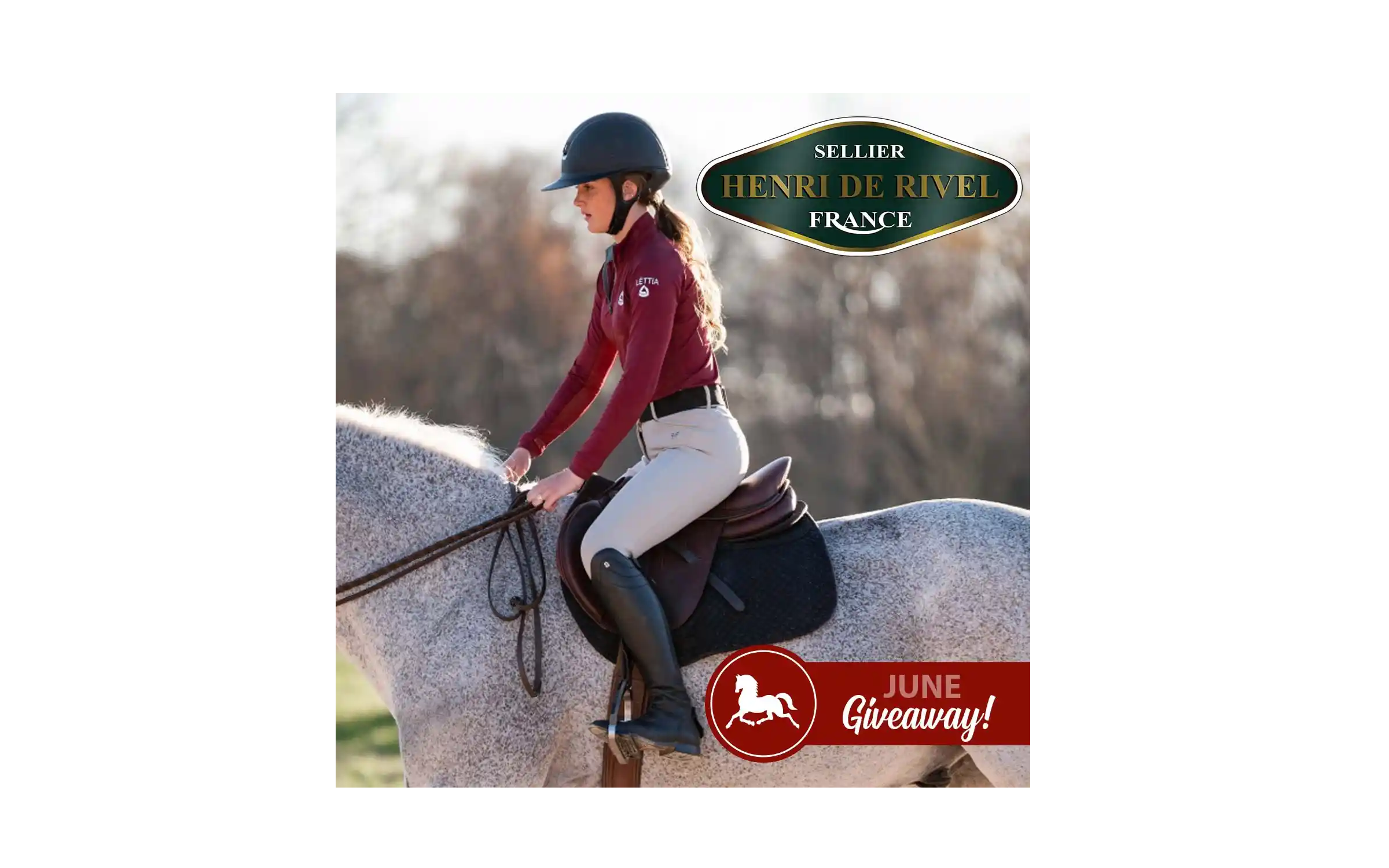 StateLine Tack: Your One-Stop Shop for Quality Horse Tack and Equestrian Supplies