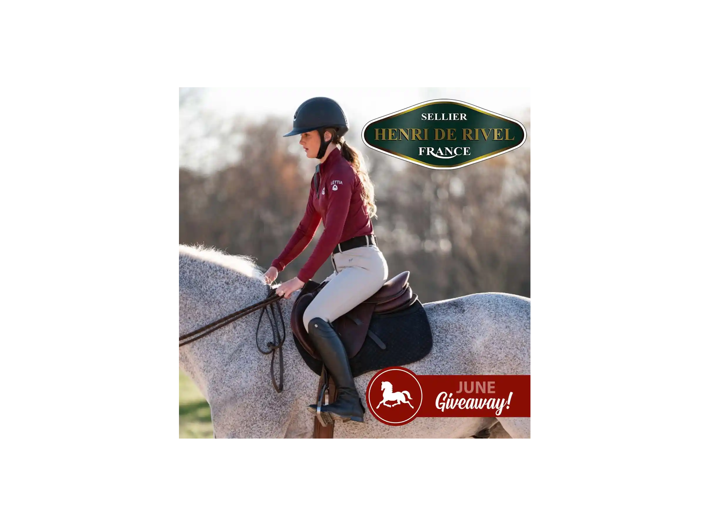www.statelinetack.com